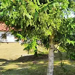 Bauernhof Bialy - Nielbark