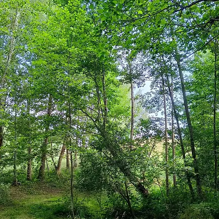 Bialy - Bauernhof Nielbark
