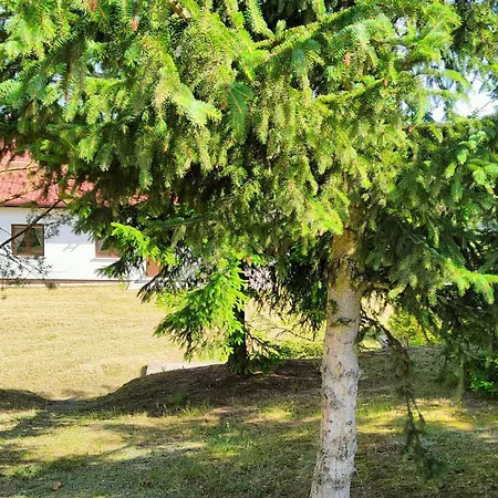 Farm stay Bialy - Nielbark