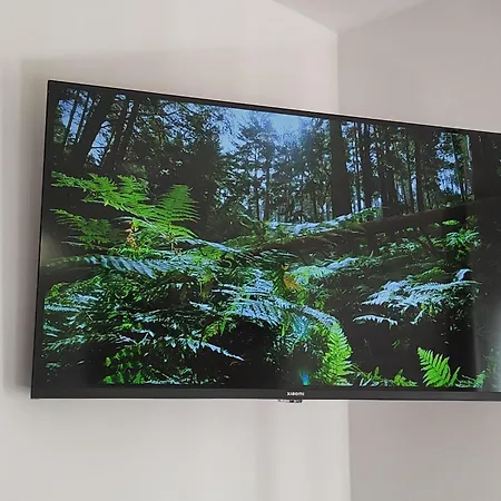 Bialy - Çiftlik konaklama Nielbark