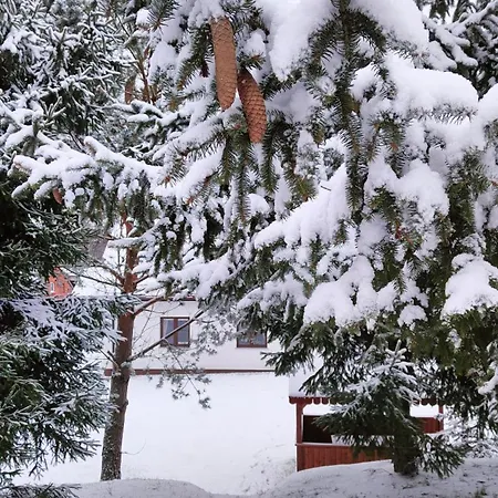 Bialy - Bauernhof Nielbark