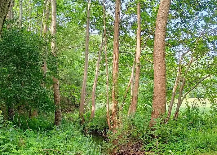 Çiftlik konaklama Bialy - Nielbark