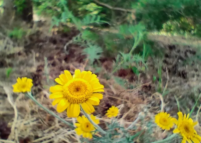 Bialy - Çiftlik konaklama *