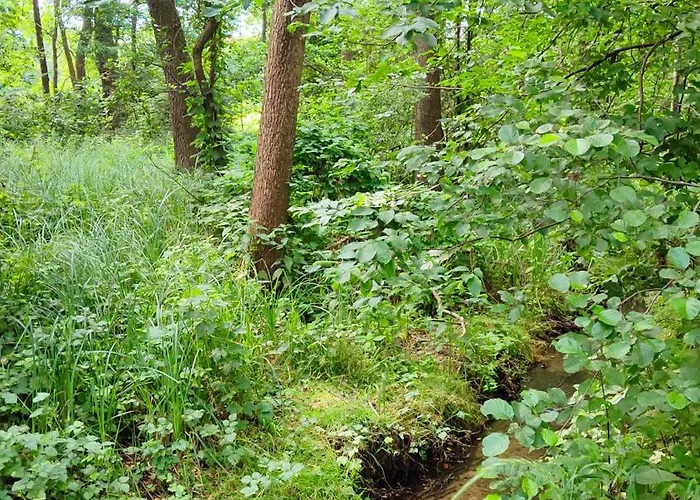 Çiftlik konaklama Bialy -