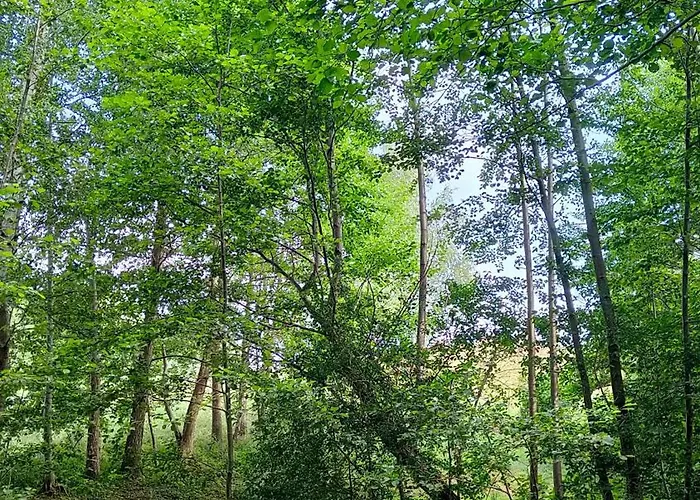 Bialy - Çiftlik konaklama Nielbark