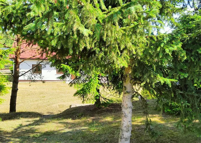 Bauernhof Bialy - Nielbark