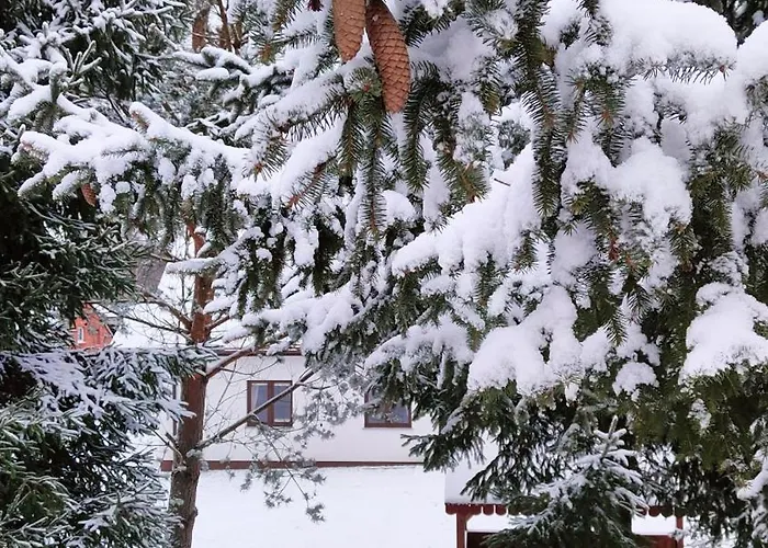 Bialy - Bauernhof Nielbark